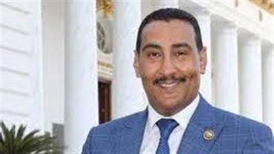 النائب محمد الجبلاوي القوات المسلحة قادرة على حفظ الأمن القومي المصري