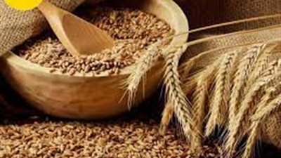 احتياطي السلع الغذائية في مصر آمن 