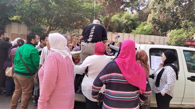 الزراعة تطلق 8 منافذ متحركة لبيع بيض المائدة بأسعار مخفضة