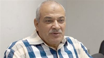 أسعار الأعلاف ترتفع رغم الإنفراجات ورئيس شعبة الدواجن يكشف تأثير الزيادة 