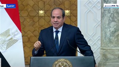السيسي: ندين كل الأعمال التي تضر المدنيين