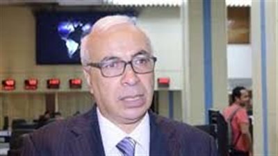 على حسن: مصر في مرحلة اصطفاف وطني خلف الرئيس السيسي لحماية الأمن القومي