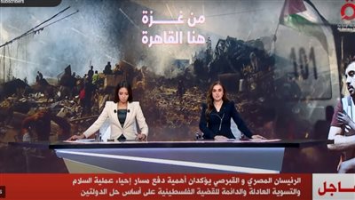 مصر تنفي تلقي ودائع خليجية بقيمة 5 مليارات دولار 