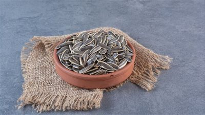 بذور عباد الشمس تقلل من خطر الإصابة بالسكتة الدماغية والنوبات القلبية