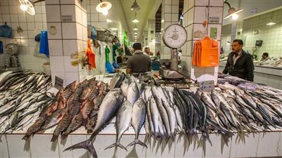 المرجان بـ40 جنيهًا.. أسعار الأسماك اليوم الجمعة بأسواق الجملة