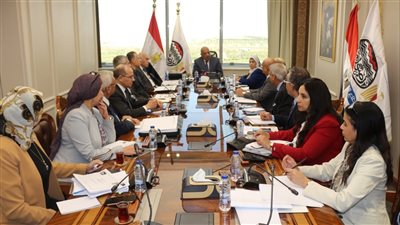 عصمت: الفرصة متاحة أمام الشركات والعاملين للتعامل مع متطلبات السوق المحلية