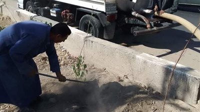 حملة لزراعة الأشجار بشوارع مركز قوص بقنا