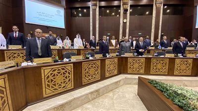   محافظ الإسكندرية ووزير التعليم العالي والبحث العلمي يشهدان تخرج الدفعة الثامنة عشر بدرجة الماجستير من جامعة سنجور 