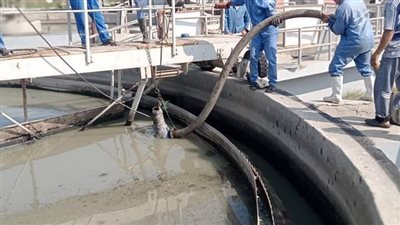 بنى سويف: تشغيل محطات كفر الجزيرة واشمنت وجار متابعة تشغيل محطة أبو سليم