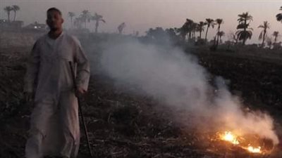 تحرير 54 محضرًا بديروط خلال حملات رصد وردع حرق المخلفات الزراعية