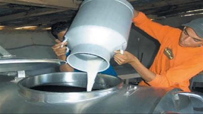 نقيب الفلاحين: الإقبال ضعيف من صغار المزارعين بسبب ارتفاع سعر العلف