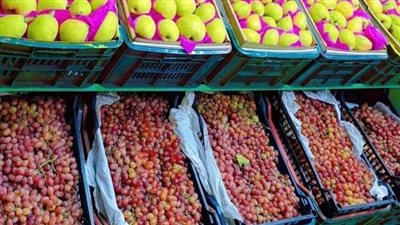 أسعار الخضراوات والفاكهة اليوم السبت بأسواق الفيوم 