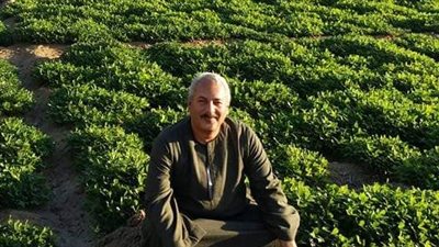 نقيب الفلاحين يكشف أسباب ارتفاع أسعار الطماطم 