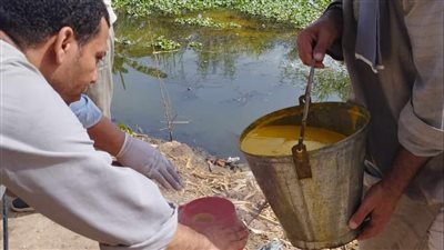 فحص 5154 مجرى مائي لمكافحة الأمراض المتوطنة بالمنيا
