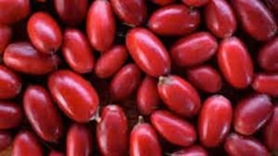 تعرف على أضرار تناول البلح الأحمر لمرضى السكري