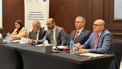 الفاو: تعزيز صادرات مصر البستانية من خلال تحسين معايير سلامة الأغذية