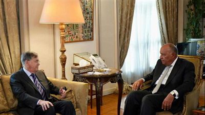 وزير الخارجية يبحث مع المبعوث الأمريكي الخاص بالشرق الأوسط القضايا الإنسانية بغزة