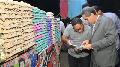 محافظ الغربية يتابع مبادرة تخفيض أسعار السلع بالمحلة وسمنود