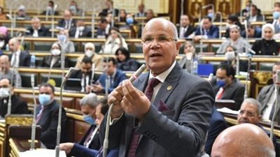 برلماني: المصريون يقفون صفًا واحدًا خلف القيادة السياسية لحماية مصر وأمنها القومي