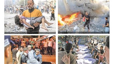 ماليزيا: ضرورة الوقف الفوري لإطلاق النار في فلسطين 