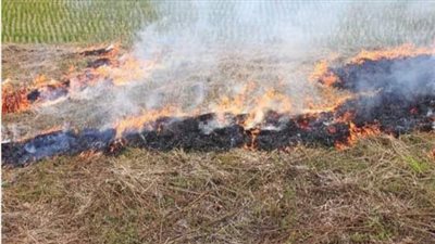 أستاذ دراسات بيئية: لن يكون هناك جودة حياة إلا بالتخلص من المخلفات