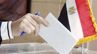 فئات مسموح لها بالتواجد باللجان خلال التصويت بالانتخابات الرئاسية 