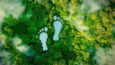 5 خطوات لتقليل بصمتك الكربونية والحفاظ على البيئة 