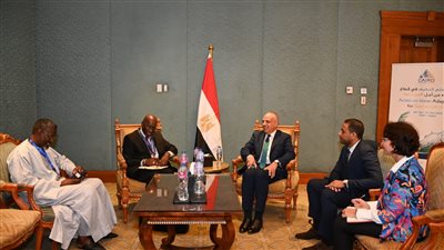 وزير الري يلتقى المدير الإقليمى لبنك التنمية الإفريقى بمصر للتباحث حول مبادرة AWARe