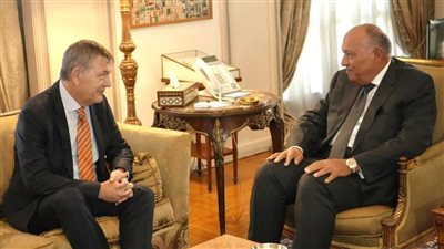 وزير الخارجية: نرفض الممارسات الإسرائيلية البربرية مهما كان المبرر