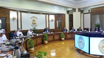 مدبولى يبحث مع وزير الاستثمار الإماراتي عددًا من المشروعات