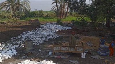 إزالة فورية على مساحة 525متر بقرية الغربى بهجورة بنجع حمادي