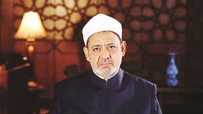 مجلس حكماء المسلمين يدين مجزرة العدو الصهيوني في جباليا