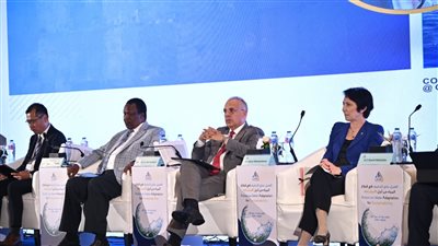 وزير الري يشارك في جلسة 