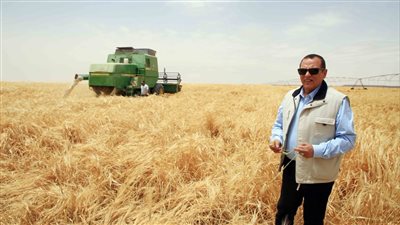  الريف المصري الجديد تطلق مبادرة لتشجيع زراعة المحاصيل الشتوية الاستراتيجية 
