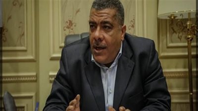 وكيل “الصناعة بالنواب”: جذب الاستثمارات هو الأساس لحل الأزمة الحالية