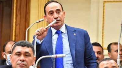 زين الدين: مصر مواقفها تاريخية تجاه القضية الفلسطينية