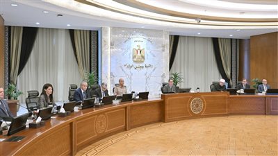 مجلس الوزراء يوافق على 1600 جنيه سعراً استرشادياً لتوريد أردب القمح 