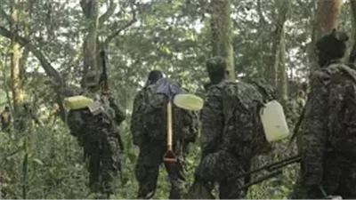 11 قتيلًا في هجوم مسلح بأوغندا