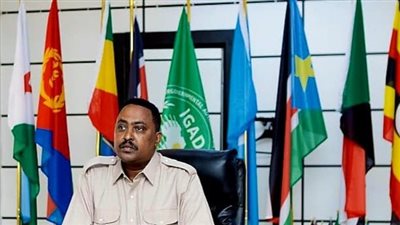مرور عام على السلام مع تيغراي..إيغاد تؤكد دعمها لإثيوبيا من أجل السلام