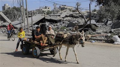 بعد نفاد الوقود.. عربات الكارو وسيلة سكان غزة للتنقل (صور)