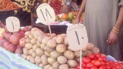 ننشر أسعار الفواكه والخضراوات بأسواق قنا اليوم الجمعة