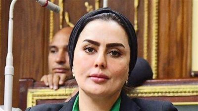 نائبة: استمرار مصر في استقبال الجرحى الفلسطينيين لتلقي العلاج تأكيد على دعمها لحقوق الإنسان