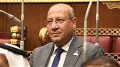 نائب: إشادة رئيس وفد الاتحاد الأوروبي بدور مصر تأكيد على دعم مصر للشعب الفلسطيني