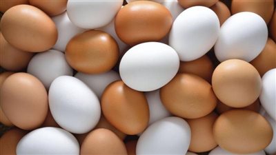 أسعار البيض صباح اليوم السبت للمستهلك وبالمزرعة 