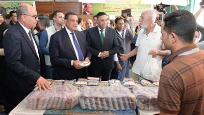وزير التنمية المحلية ومحافظ الدقهلية يتفقدان معرض بيع السلع الغذائية بأسعار مخفضة 