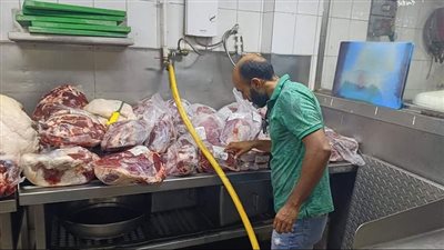 مصادرة 234 كيلو لحوم ودواجن مجهولة المصدر بالغربية