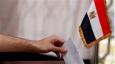 إجراءات تصويت المصريين في الخارج بالانتخابات الرئاسية المصرية 2024 (إنفوجراف)