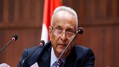 بهاء أبوشقة يدعو لمخاطبة برلمانات العالم لوضع تشريعات عالمية لمواجهة الاحتباس الحراري 