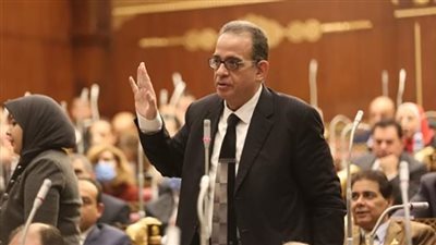 النائب الوفدي 