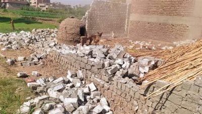 إزالة فورية ٤ حالات تعد بقرية أبنود بقنا